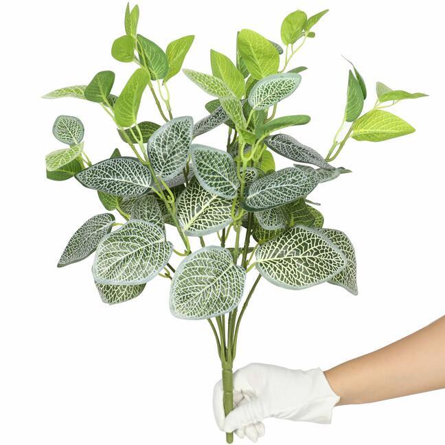 Plante artificielle Fitónia blanc 45 cm