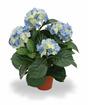 Plante artificielle Hortensia bleu 45 cm