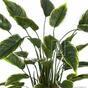 Plante artificielle Hosta 50 cm