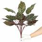 Plante artificielle Kalatea 50 cm