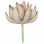 Plante artificielle Lotus Echeveria 10 cm