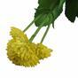 Plante artificielle Marolist balsamique 22 cm