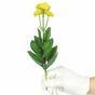 Plante artificielle Marolist balsamique 22 cm