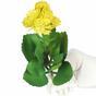 Plante artificielle Marolist balsamique 22 cm