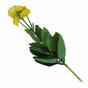 Plante artificielle Marolist balsamique 22 cm