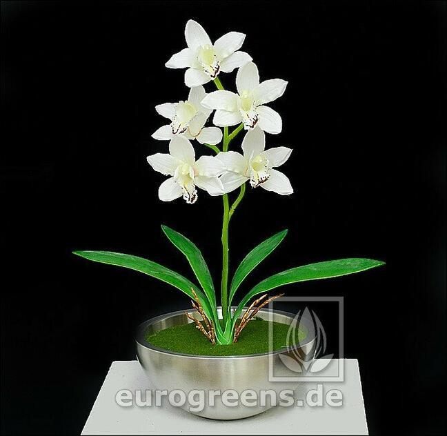 Plante artificielle Orchidea Cymbidium crème 50 cm