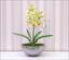 Plante artificielle Orchidea Cymbidium vert clair 50 cm