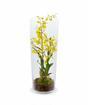 Plante artificielle Orchidea Oncídium 80 cm