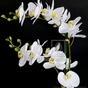 Plante artificielle Orchidée blanche 65 cm