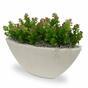 Plante artificielle Orpin 18 cm