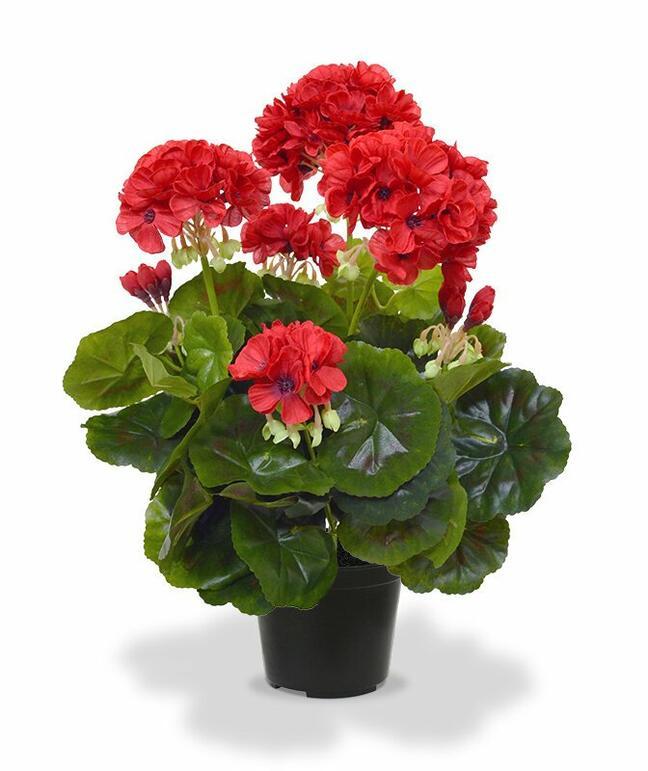 Plante artificielle Pakost rouge 40 cm
