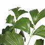 Plante artificielle Caryota 160 cm