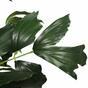 Plante artificielle Caryota 160 cm