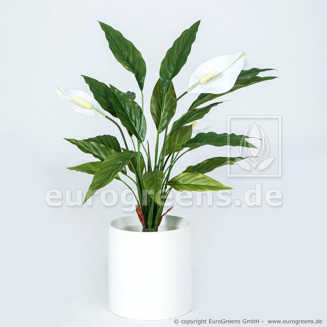 Plante artificielle Pelle 50 cm