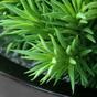 Plante artificielle Peperomia 23 cm