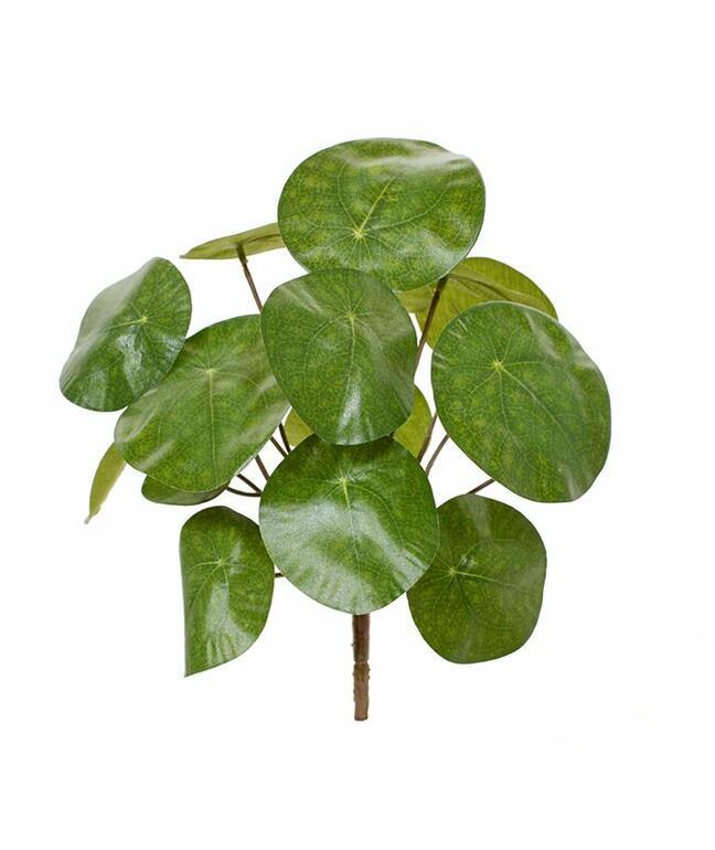 Plante artificielle Pilea peperomioides 20 cm