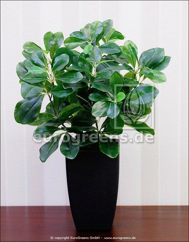 Plante artificielle Prune 40 cm