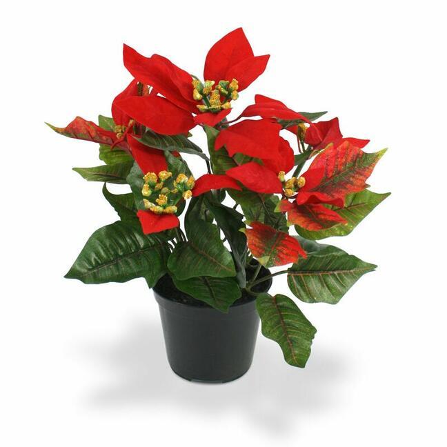 Plante artificielle Rose de Noël rouge 25 cm