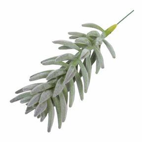 Plante artificielle Senecio haworthii 21 cm