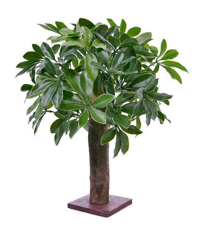 Plante artificielle Shefler 50 cm