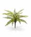 Plante artificielle Spleenwort 35 cm