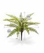 Plante artificielle Spleenwort 35 cm