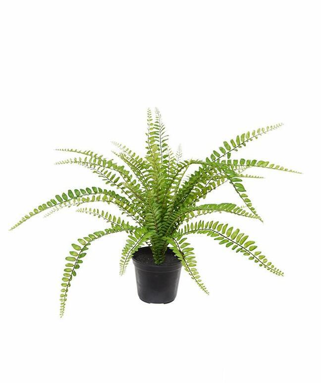 Plante artificielle Spleenwort 45 cm