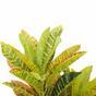Plante artificielle tachetée de Croton 55 cm