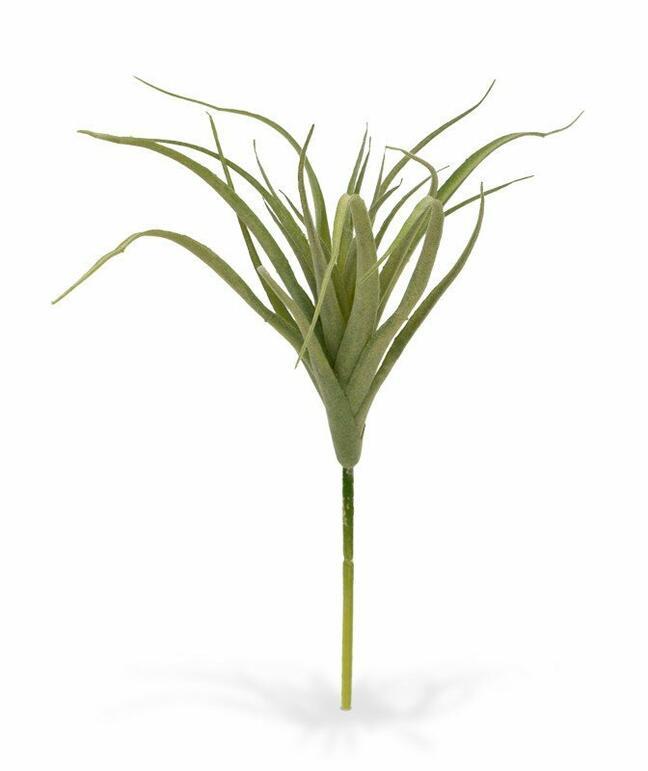 Plante artificielle Tilandsia 20 cm