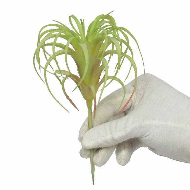 Plante artificielle Tillandsia 14 cm