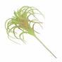 Plante artificielle Tillandsia 14 cm