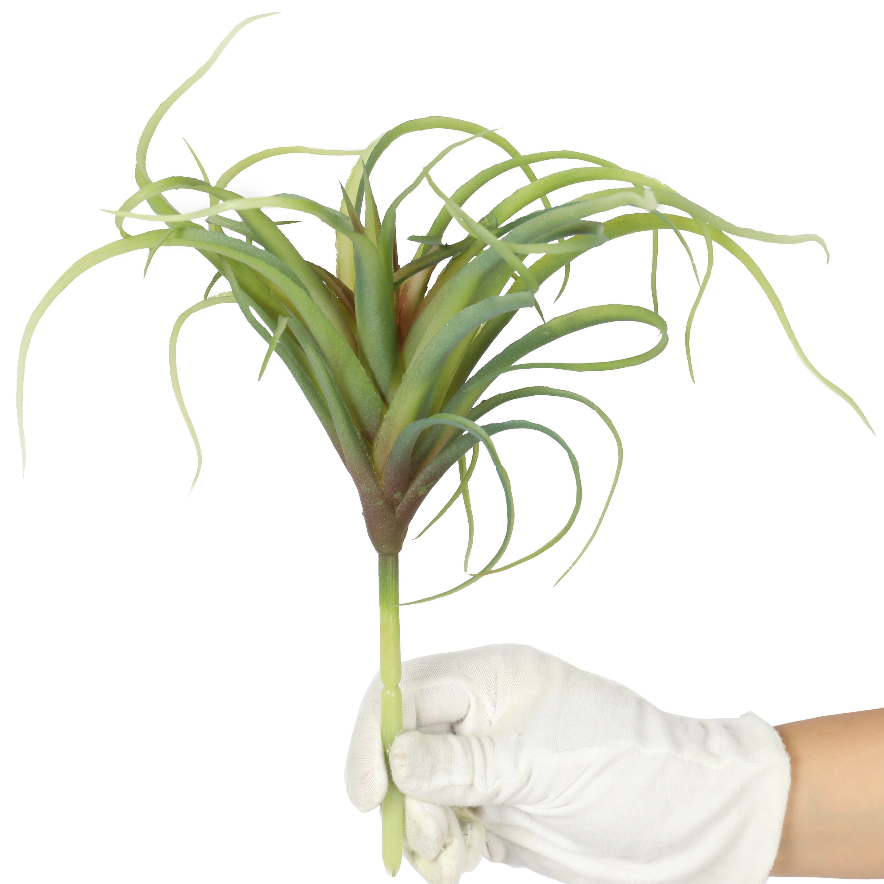 Déco Tillandsia artificielle plante artificielle à