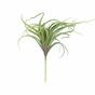 Plante artificielle Tillandsia 15 cm