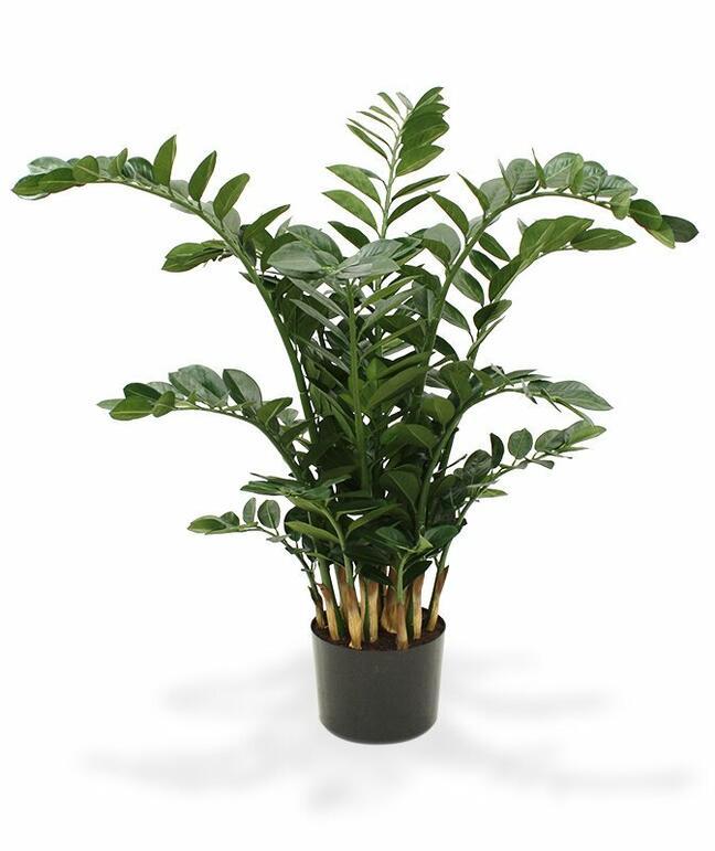 Plante artificielle Zamiokulkas 120 cm