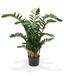 Plante artificielle Zamiokulkas 120 cm