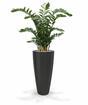 Plante artificielle Zamiokulkas 120 cm