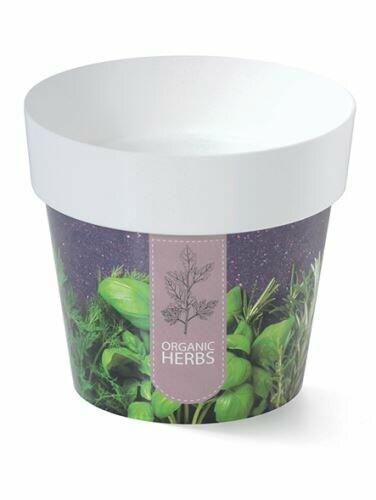 Pot de fleurs IML herbes H1, 12cm