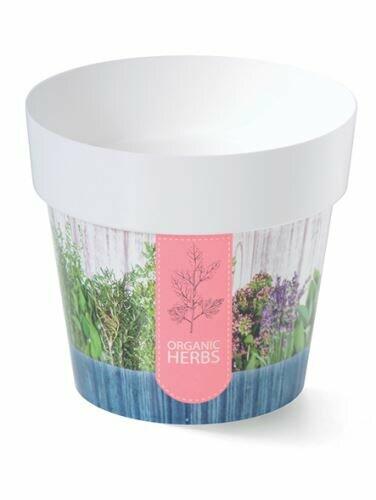 Pot de fleurs IML herbes H2, 12cm