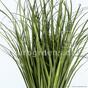 Rainurage artificiel fagot d'herbe Roseau commun 80 cm