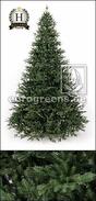 Sapin de Noël artificiel Sapin Nobilis Oxburgh 210 cm