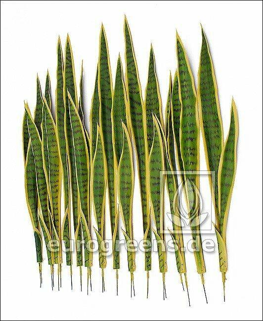 Set de feuilles artificielles Langues Svokrine 85 cm