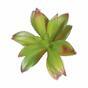 Succulente artificielle Aeonium Arboreum 14 cm