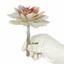 Succulente artificielle Echevéria 14 cm