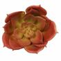 Succulente artificielle rouge 11 cm