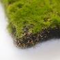 Tapis de mousse artificielle 100 x 100 cm - vert