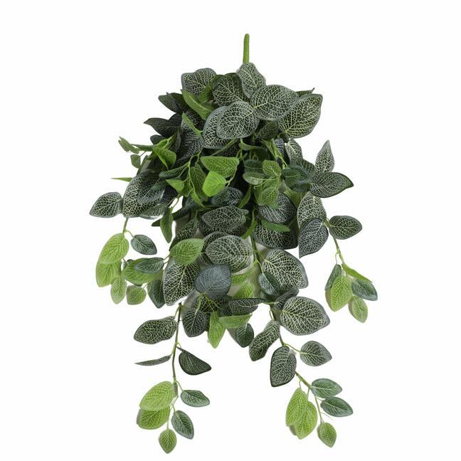 Vrille artificielle Fitónia blanc 80 cm