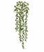 Vrille artificielle Peperomia rotundifolia 80 cm